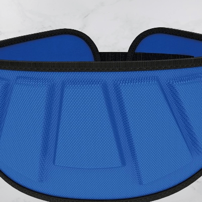 Ceinture pour la musculation - FitnessWaistBelts™ - Bleu - Fitnessforme